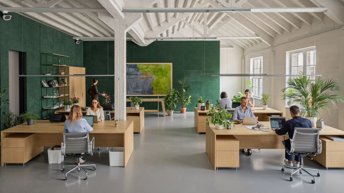 Helle Büroetage mit Holztischen, dunkelgrünen Wänden und Pflanzen; mehrere Personen arbeiten an Laptops.